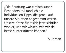 Kundenstimme zur Katzenverhaltensberatung – Bewertung 2